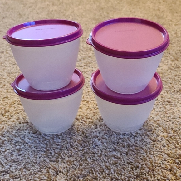 Tupperware Containers - Set of 4
